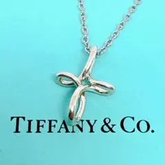 【美品 社外チェーン】TIFFANY&Co. インフィニティ クロス ネックレス