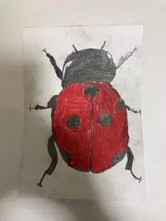 かわいい！てんとう虫の絵！