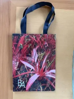 POLA ショッパー　ポーラ　紙袋 BA