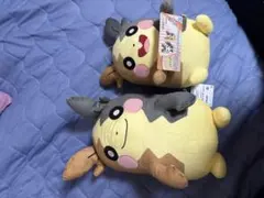 ポケモン ぬいぐるみ 2体セット モルペコ