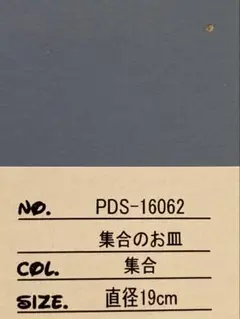お皿2枚目 punkdrunkers パンクドランカーズ 集合のお皿