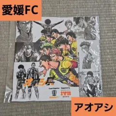 2025年最新】アオアシポスターの人気アイテム - メルカリ