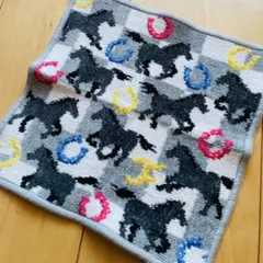 フェイラー ハンカチ☆スプリントホース