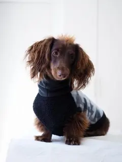犬服 ダックスちゃんのボア付きハイネックタンクトップ　ブルートライバル×黒ボア