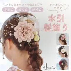 【オーガンジーリボンset】水引き 髪飾り リボン 金箔 ベージュダリア