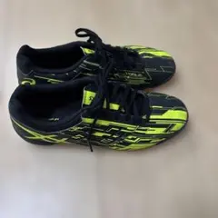 asics フットサル　インドアシューズ　25.0cm