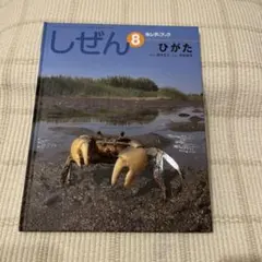 しぜん　8月号　ひがた　キンダーブック　フレーベル館