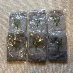 【新品】温泉 湯上がり足袋ソックス グレー6足まとめ売り 靴下