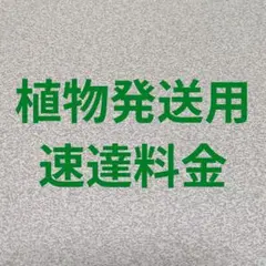 norichan様 リクエスト 3点 まとめ商品