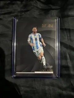 Item thumbnail for item 69c664c1-a230-42d3-a9a8-fe03c050b67a