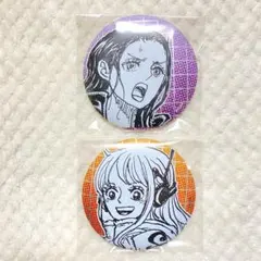 2026年最新】ニコロビン 缶バッジの人気アイテム - メルカリ