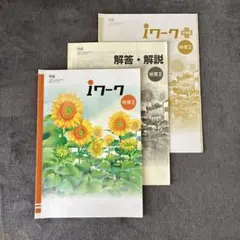 iワーク　地理Ⅱ+解答・解説のサムネイル