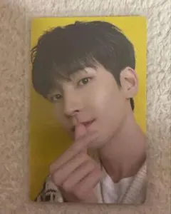 SEVENTEEN セブチ あいのちから weverse 特典 ウォヌ トレカ