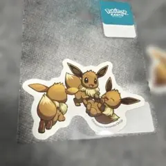 PokePark KANTO イーブイ　ポケパーク カントー　1枚