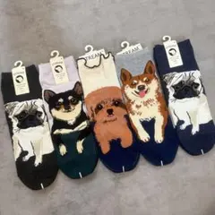 【新品未使用】STREAM 犬柄 クルーソックス 5足セット パグ 柴犬