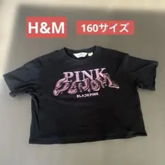 H&M BLACKPINK PINK ロゴTシャツ160サイズ