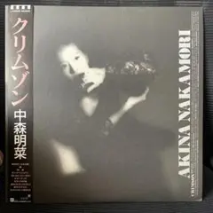 2025年最新】中森明菜 クリムゾンの人気アイテム - メルカリ