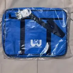 Item thumbnail for item 2a8a882e-5bcb-475c-b062-af8de5134d5e