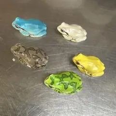 ネイチャーテクニカラーMONOアマガエルマグネット　5個