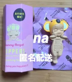 ピッパーズ　ドリーミングシリーズ　コアラ