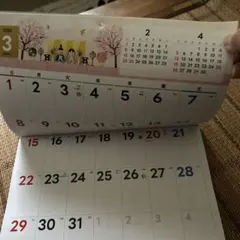 Item thumbnail for item ff546a10-4404-4c09-8ff0-6d887a9a2260