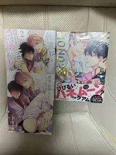 BL漫画 新刊 2冊セット 特典漫画つき