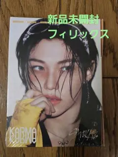 Stray Kids KARMA アコーディオン フィリックス 新品未開封