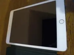 Apple iPad mini4 wifi+cellular 128GB