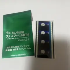 コマフィルム　ミア・テイラー