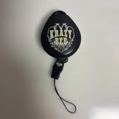 山本キッド徳郁・山本KID徳郁・KRAZYBEE・神の子・総合格闘技・K-1