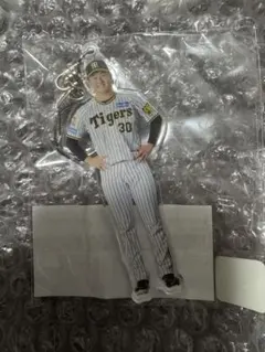 Item thumbnail for item 3120116f-c9d4-4ef9-8657-89e316af9671