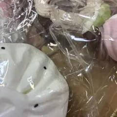 あちゃーーーん