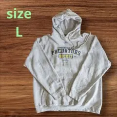 ✨Reebok✨ リーボック　パーカー　sizeL　プルオーバー　グレー