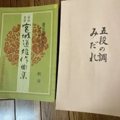最終値下げ！秋元けん玉研究所 大空 5連大皿 木地玉 中古品 - メルカリ