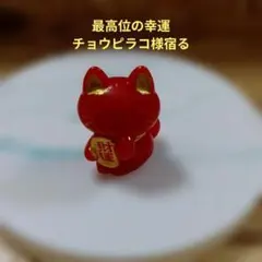 2026年最新】チョウピラコ様の人気アイテム - メルカリ
