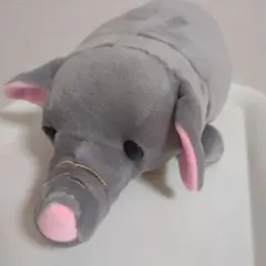 ハッピーズー　ゾウ　ぬいぐるみ　もちもち　CUTE　アニマル　動物のサムネイル