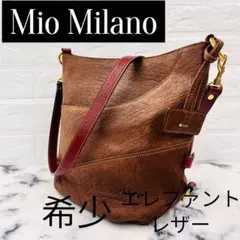 【希少】美品 ミオミラノ ショルダーバッグ 2WAY エキゾチックレザー 本革