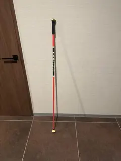 2025年最新】LEKI スキー ストックの人気アイテム - メルカリ