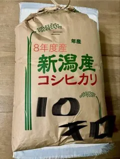 数量限定！出来立て農家直送新米 コシヒカリ玄米！約20キロ！期間限定