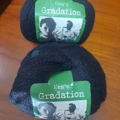 パピー毛糸　メンズ・グラデーション 黒✕深緑 　おまけ付き