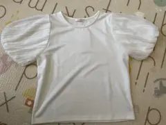 Item thumbnail for item 888eb695-dde0-4c8e-aaef-12b96c2d0c02