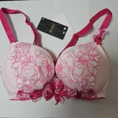 未使用★ワコール・saluteサルート★ブラジャー【キューティハニー】G75 未使用☆ワコール・saluteサルート☆ブラジャー【キューティハニー