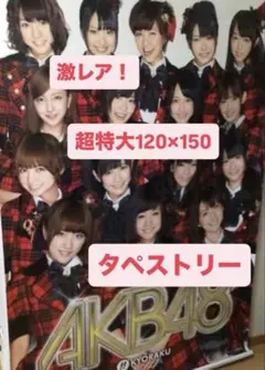 2026年最新】akb48 タペストリーの人気アイテム - メルカリ