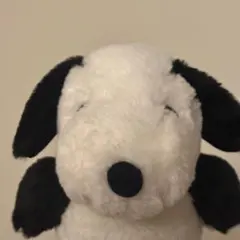 ペリカン スヌーピー ぬいぐるみ 名古屋限定