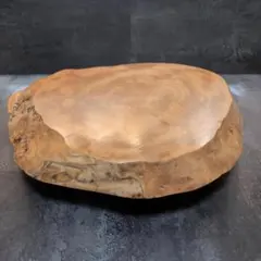 A61 屋久杉 置物台 花瓶台 天然木 直径約42cm インテリア オブジェ