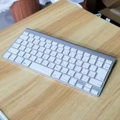 Apple Magic Keyboard A1314 正常動作品 018