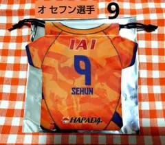 Item thumbnail for item 87e5c45e-e8d8-40d2-8f76-1c26cee77c7a