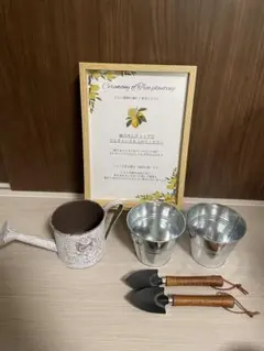 【植樹セレモニー】　レモン