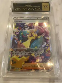 PSA10 카나리 SAR