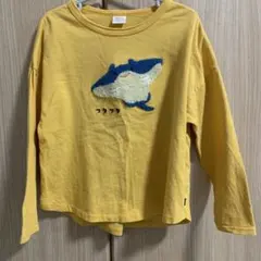 Item thumbnail for item 380ce27e-605e-459b-8108-d815197b5619